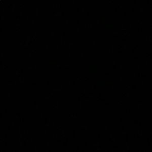 Meet your Posher, Brady